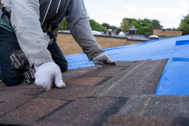 Best Shingle Roofing Installation  in Lake Morton Berrydale, WA