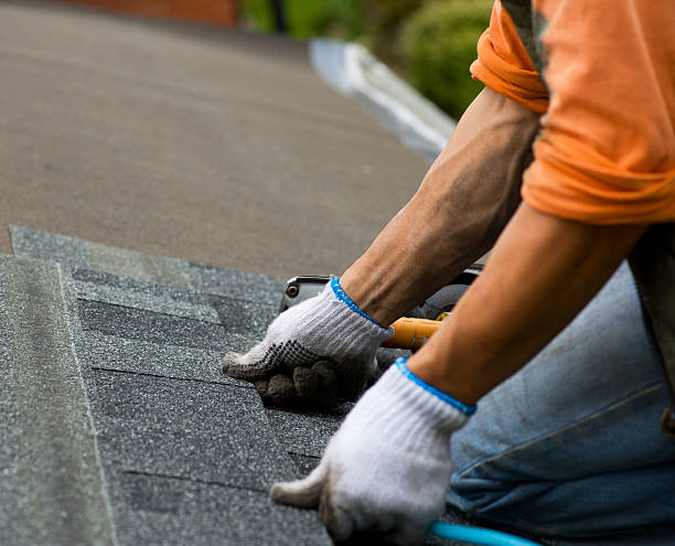 Best Metal Roofing Contractor  in Lake Morton Berrydale, WA